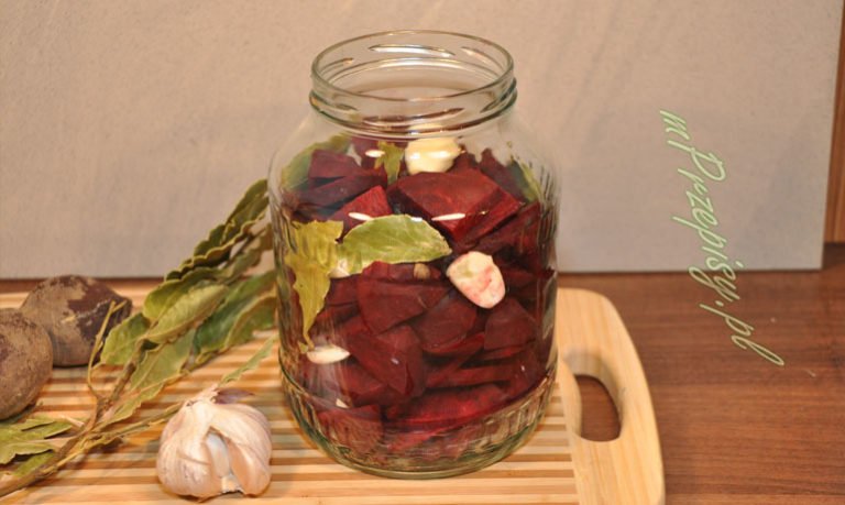 zakwas na barszcz