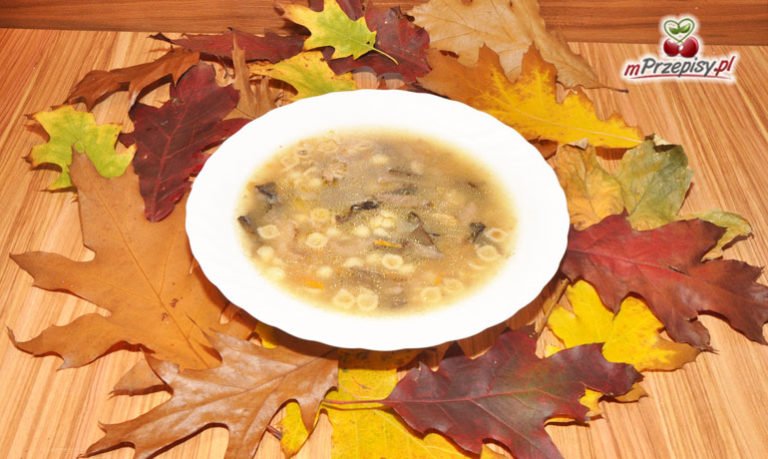 Zupa grzybowa